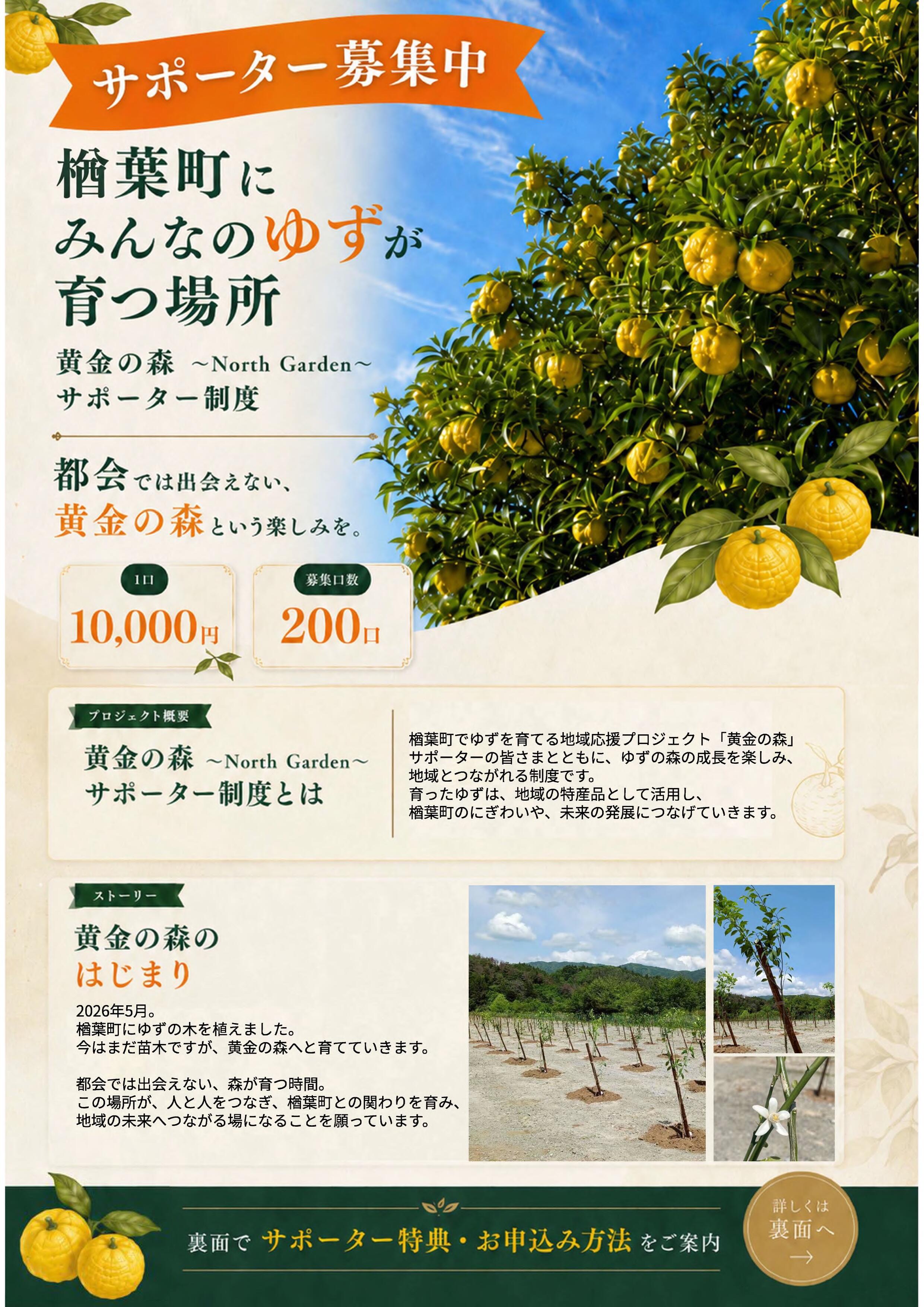 【完成】黄金の森チラシ_1.jpg