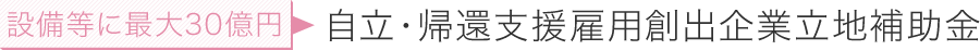 設備等に最大30億円 自立・帰還支援雇用創出企業立地補助金